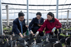 不误农时不负春 邮储银行帮力农业出产开新局